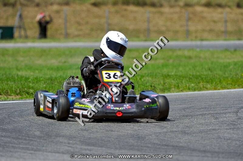 DSC_ (1463).jpg